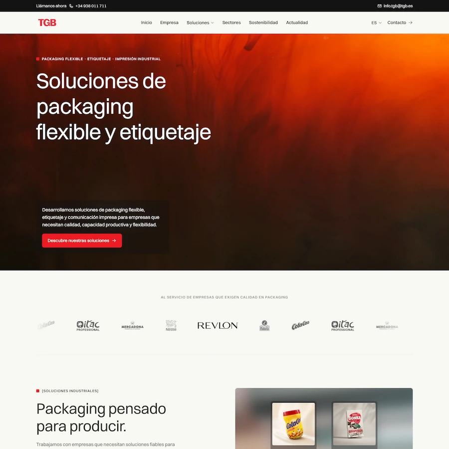 Professional website redesign project